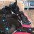 Peg Ernst Walker's profile image
