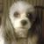 Diane Marie's profile image
