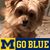 Mary Lou Suiter-Williams's profile image