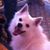 Darlene Heim-Taylor's profile image