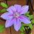 Sheryl Bergen Symons's profile image