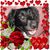 Connie Perry's profile image