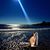 Denise Haher's profile image