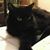 Audrey Rutter's profile image