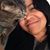 Ana H Vicente's profile image