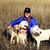 Mimi Hall Gustafson's profile image