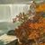 Susan Cook Kunz's profile image