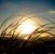 Kenda Chilcote Whittle's profile image