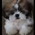 Maria Rivera's profile image
