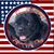 David Brinsmead's profile image