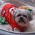 Susie Rupp's profile image