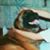 Diane Denney Lipsey's profile image