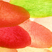 Aubree W.'s profile image