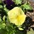 Gail Anstess's profile image