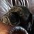 Inez Hickey's profile image