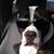 Richard Gagnon's profile image