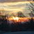 Suanne Spielman Schueller's profile image