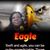 Marsha Holt's profile image