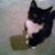 Judy Kilkenny-Devito's profile image