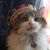 Tina Dusenberry Brigham's profile image