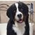 Dennis W. McCabe's profile image