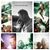 Jennifer Gray's profile image