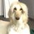 Lorie Starinsky's profile image