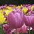 Linda Reilly's profile image