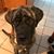 Tammy Glaesman's profile image