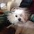 Karen Dimsdale's profile image