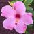 Donna Cox's profile image