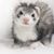 Sara Levien's profile image