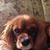 Emily Casselman's profile image