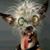 Jerry IrohGlose's profile image