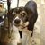 Betsy Scott's profile image