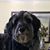 Terry Waechter's profile image