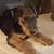 Linda Wandtke's profile image