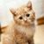 U Aung Bu's profile image
