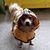 Debbie Baker's profile image