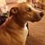 Shari Catalano's profile image