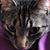 Beth Webster McHone's profile image