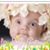 Tiffany Rogers's profile image