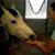 Krista Weisman's profile image