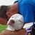 Suemallon Mallon's profile image