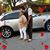 Virgie Halton's profile image