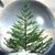 Darlene Brown's profile image