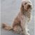 Wendy Osvath Ciktor's profile image
