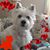 Angelika Fronczak's profile image