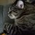 Kristy DeCoursey's profile image