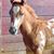 Sara Nesbit's profile image